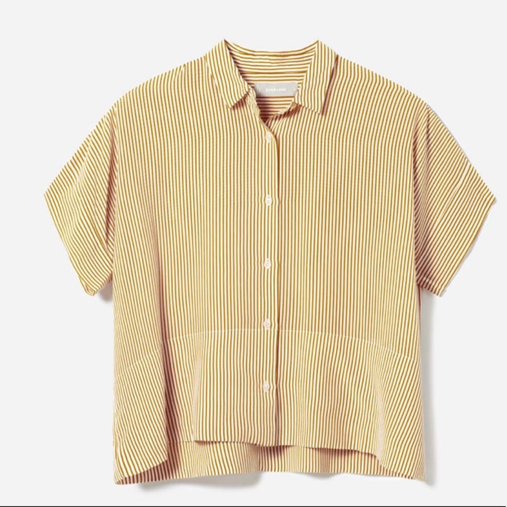 Everlane silk short-sleeve striped shirt